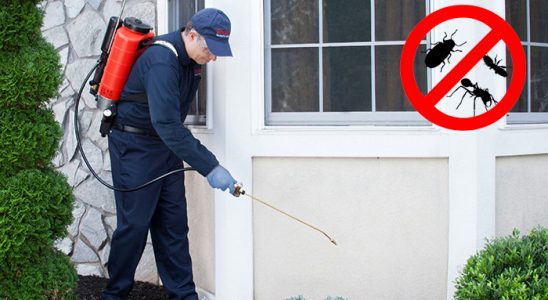 Çobanlar Akrep İlaçlama böcek ilaçlama ve haşere kontrolü — ilaclama-tr.com